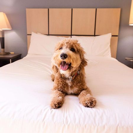 Sonesta Simply Suites Phoenix Glendale Luaran gambar